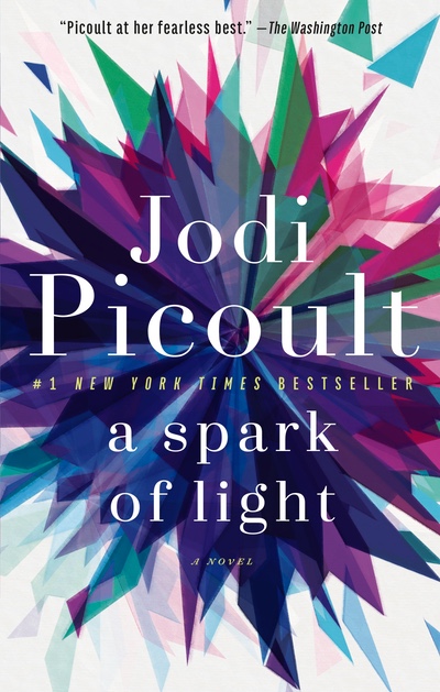 Jodi Picoult A Spark Of Light 2018 - 