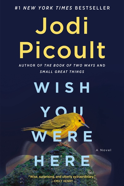 Wish You Were Her - North American paperback
