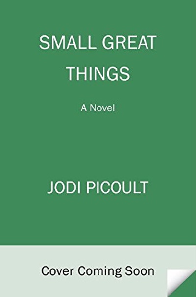 Jodi Picoult · Small Great Things (novel-in-progress)